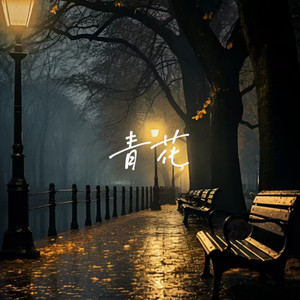 黑人和女人的肛交视频
